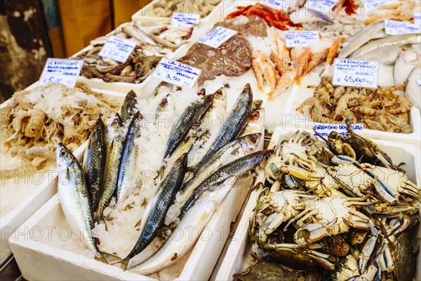 Seafood on ice in market