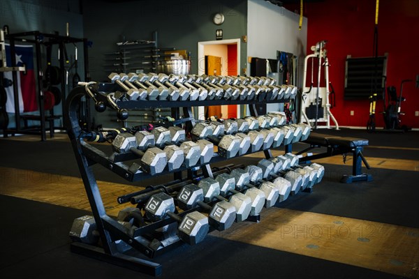 Dumbbells on rack in gymnasium