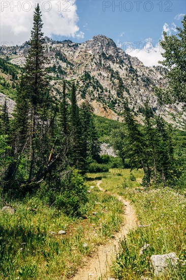 Dirt path in mountains