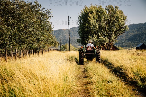 Caucasian farmer riding tractor