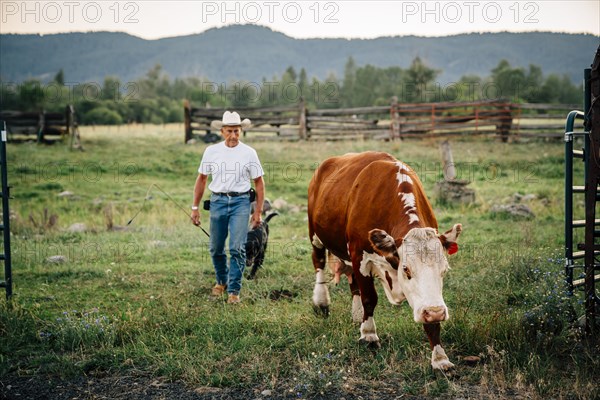 Caucasian farmer and dog walking with cow