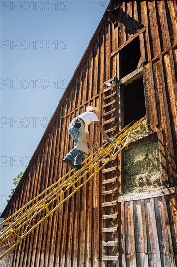 Caucasian farmer climbing ladder to barn