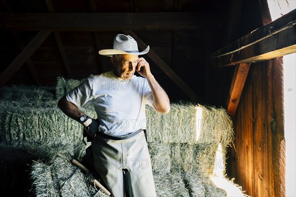 Caucasian farmer in barn talking on cell phone