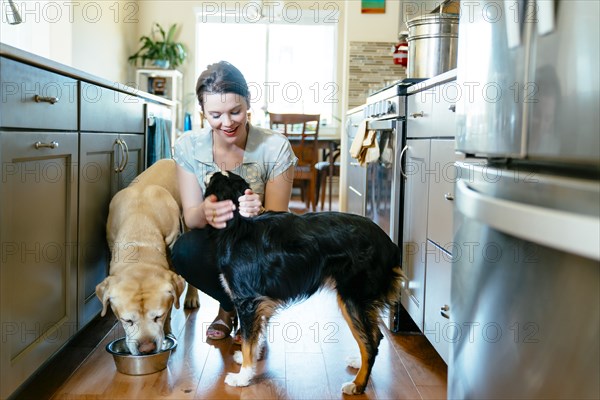 Woman feeding and petting dogs in domestic kitchen