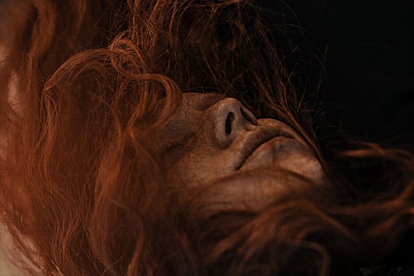 Wind blowing red hair of Caucasian woman