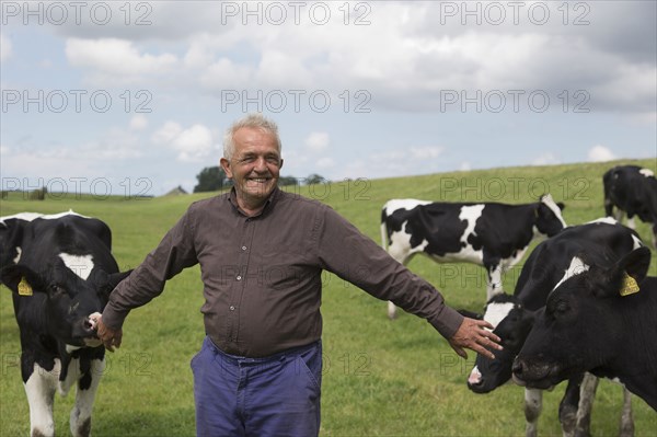 Man standing in field with cows