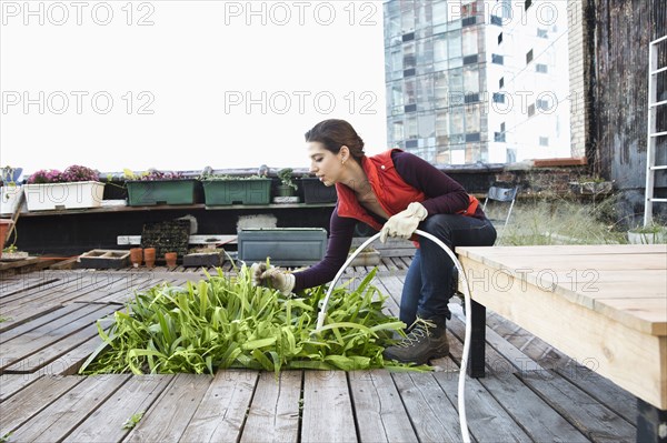 Woman watering plants in urban rooftop garden