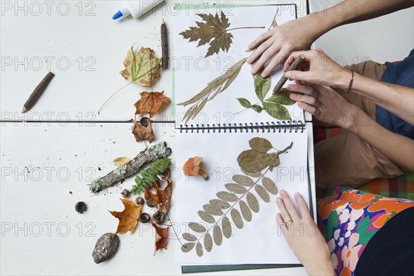 Hands of Caucasian mother and son with nature scrapbook outdoors