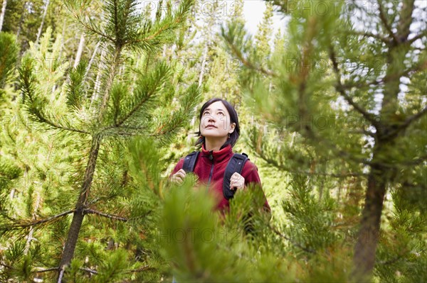 Japanese woman hiking in forest