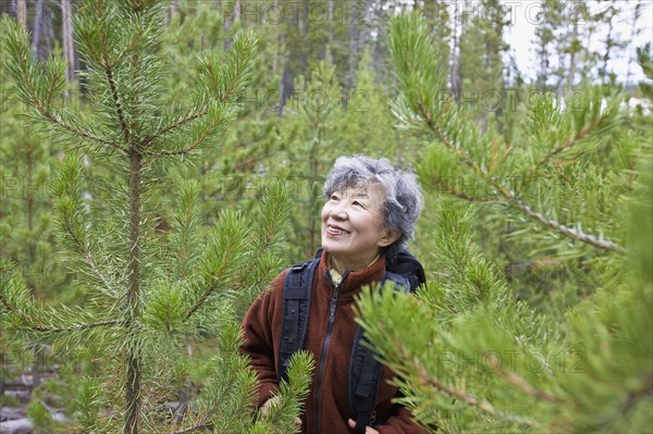 Senior Japanese woman  hiking in forest