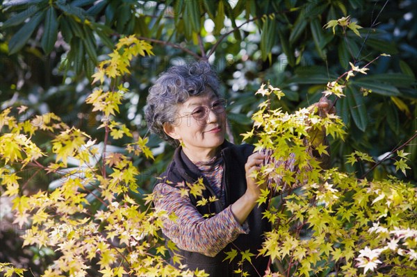 Senior Japanese woman gardening