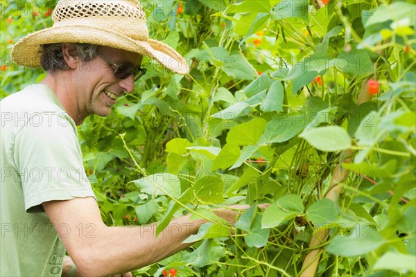 Caucasian farmer examining plants