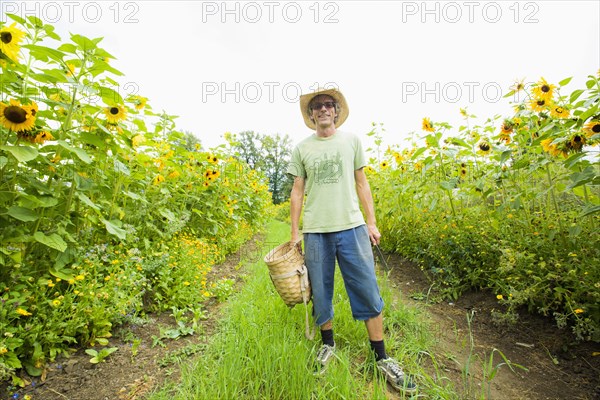 Caucasian farmer standing in rows of sunflowers
