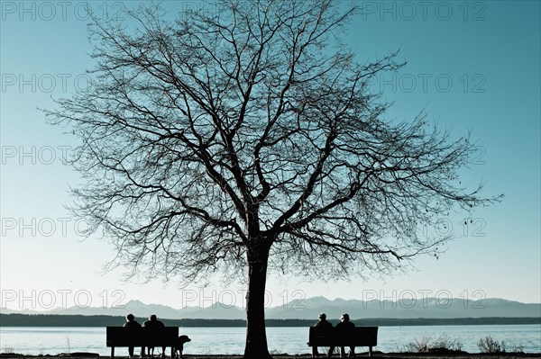 People sitting on benches at lake