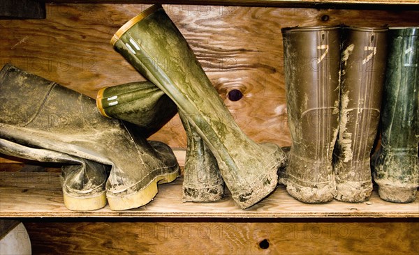 Muddy rainboots on shelf