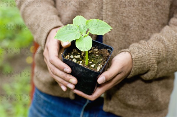 Japanese gardener holding potted plant