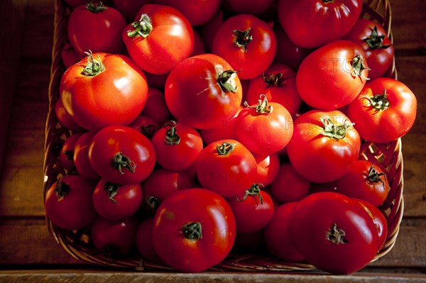 Close up of basket of tomatoes