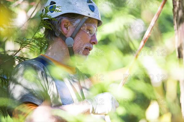 Logger wearing helmet in tree