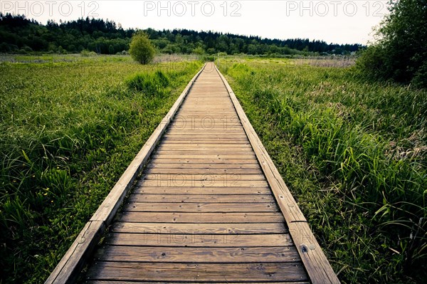 Wooden walkway in rural field