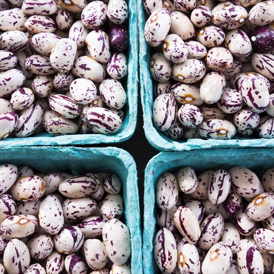 Containers of spotted beans