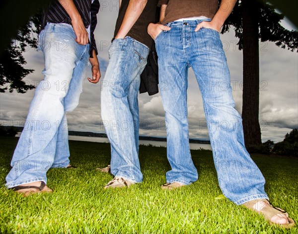 Legs of friends wearing jeans in grass