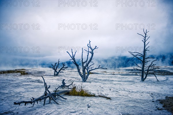 Desolate cold landscape