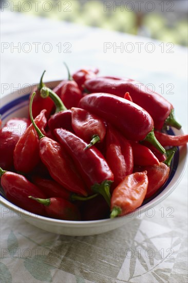 Close up of bowl of chili peppers