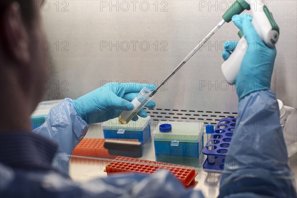 Mixed race scientist pipetting solution into test tubes in lab