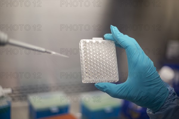 Mixed race scientist pipetting solution into container in lab