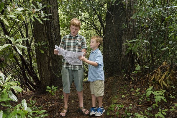 Caucasian boys reading map in forest