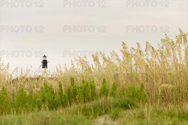 Distant lighthouse