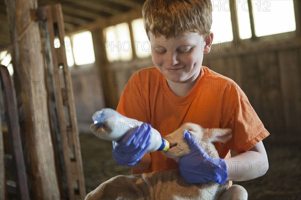 Smiling Caucasian boy feeding bottle to lamb