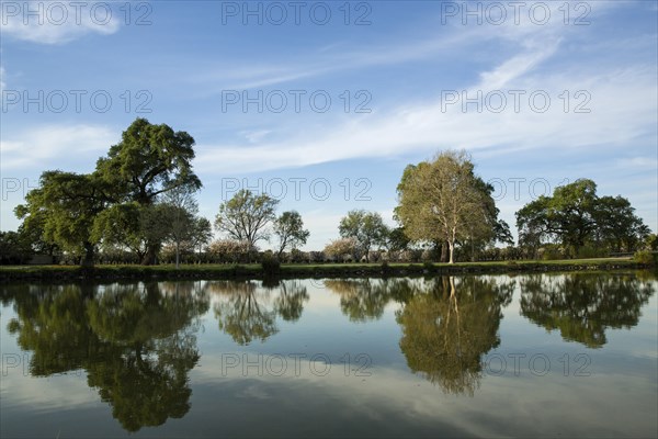 Trees under blue sky reflecting in still lake
