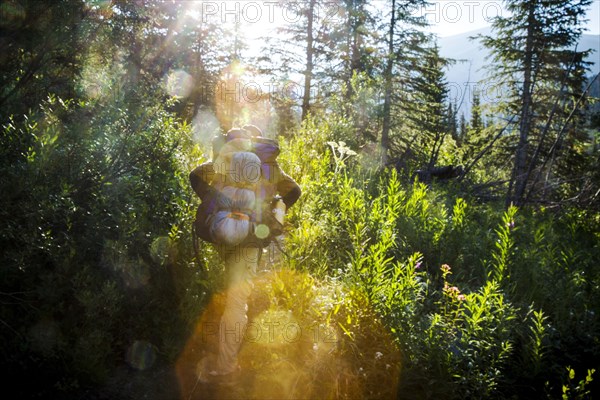 Hiker walking on sunny forest trail