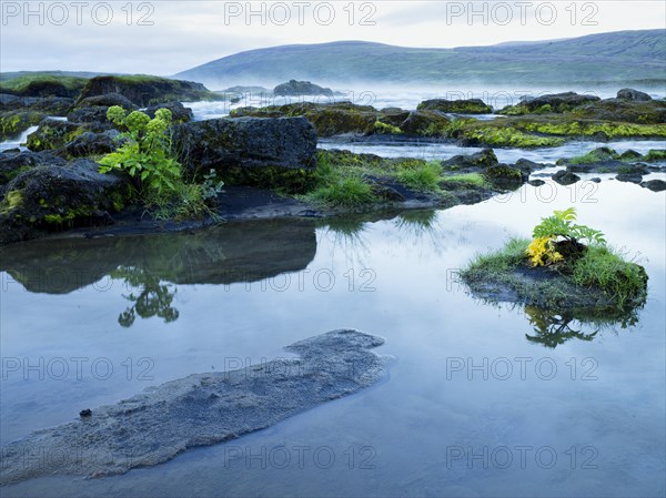 High angle view of still pond near remote waterfall