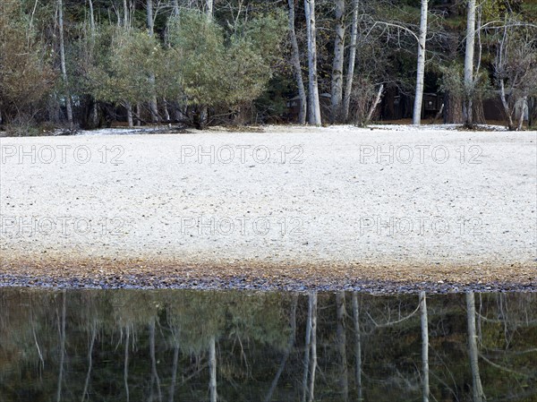 Trees and sandy beach reflecting in still river