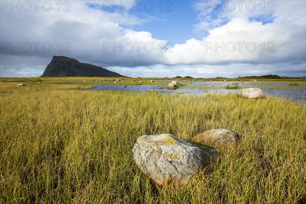 Rock formations in grassy coastline under blue sky