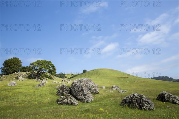 Rock formations in rolling rural field