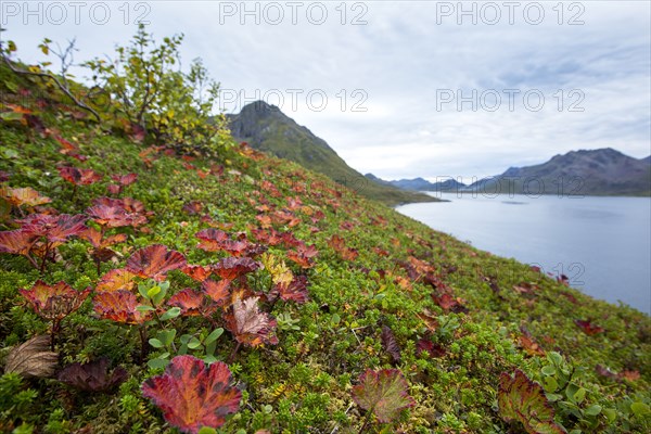 Grassy hillside over lake in remote landscape