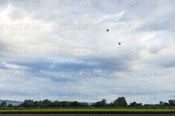 Hot air balloons flying over rural landscape