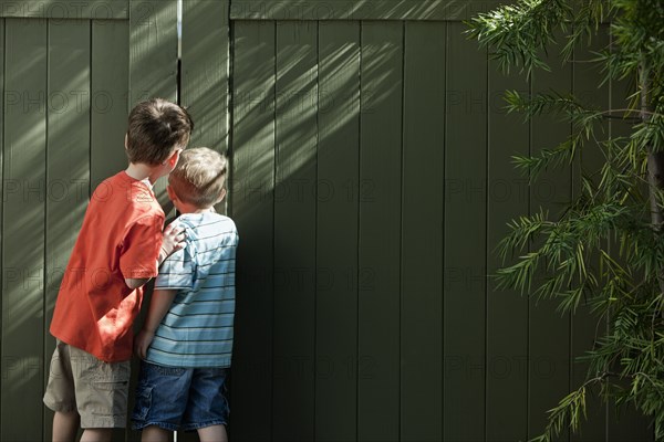 Caucasian brothers peering out fence