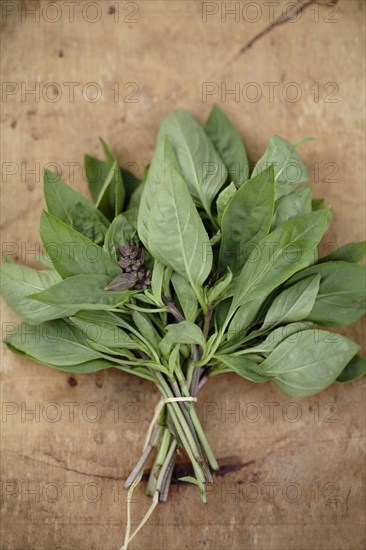 Bouquet of Thai basil