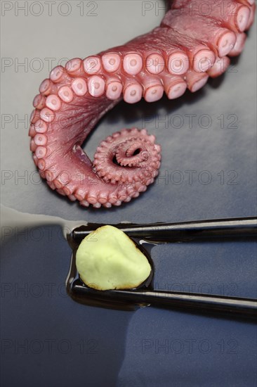 Close up of octopus and wasabi