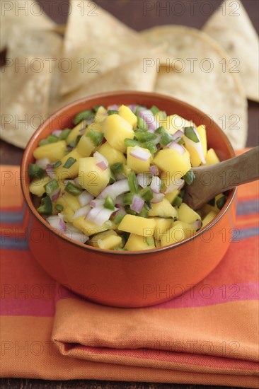 Close up of mango salsa and tortilla chips