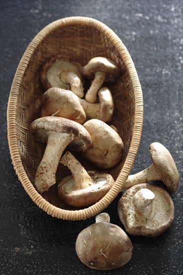 Mushrooms in basket