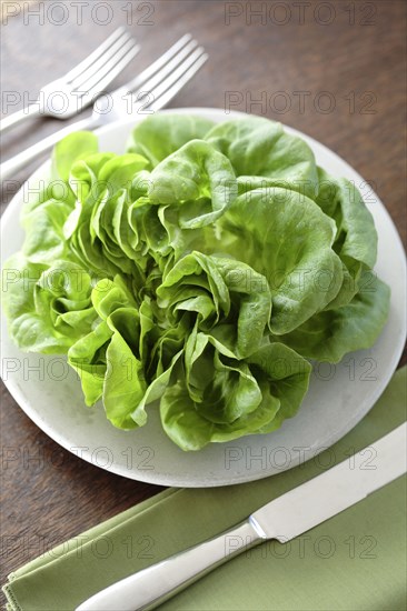 Fresh lettuce on plate