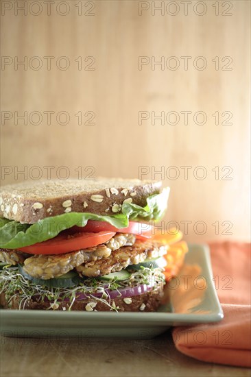 Close up of tempeh soy sandwich