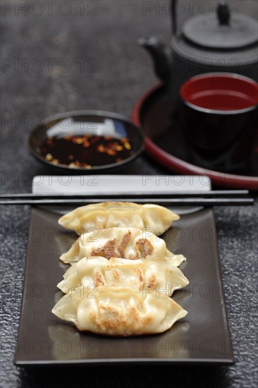 Asian fried dumplings on tray