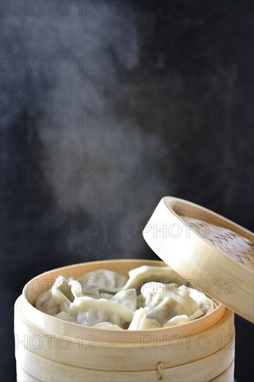 Steamed Asian dumplings