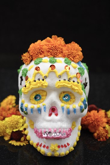 Decorated skull for Day of the Dead celebration